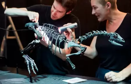 Descubren una nueva especie de dinosaurio del tamao de un perro.