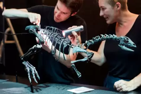 Descubren una nueva especie de dinosaurio del tamao de un perro.