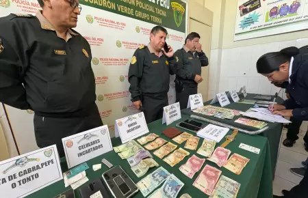 Intervencin del Grupo Terna en Tacna