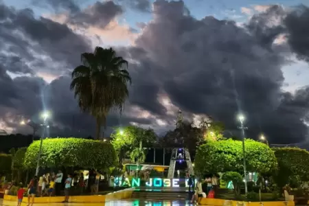 Senamhi estima el incremento de vientos en la selva por nuevo friaje.