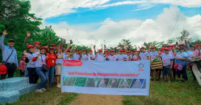 Proyecto de reforestación de Caja Huancayo