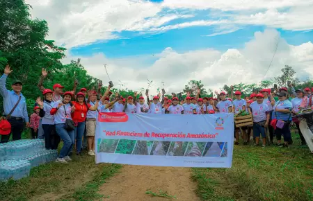 Proyecto de reforestacin de Caja Huancayo