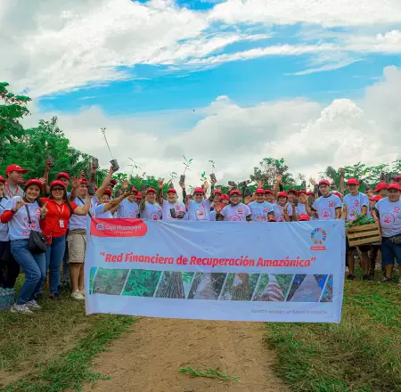 Proyecto de reforestacin de Caja Huancayo