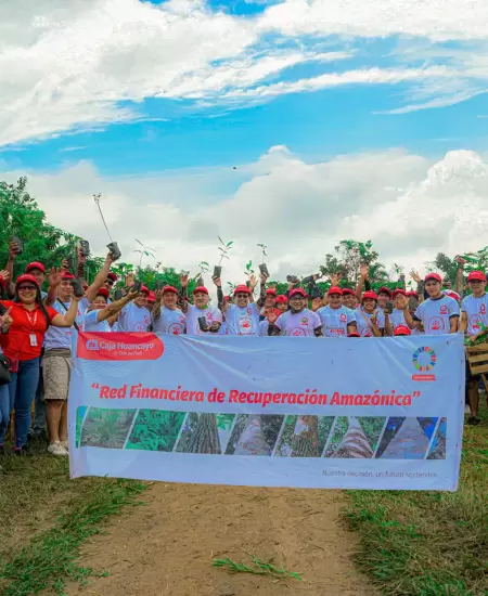 Proyecto de reforestación de Caja Huancayo