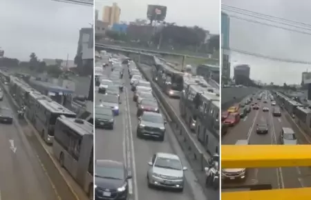 Gran cantidad de buses del Metropolitano qued varada en la Va Expresa.