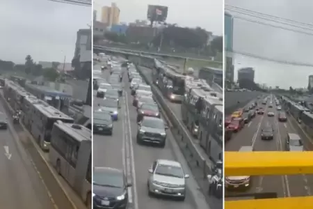 Gran cantidad de buses del Metropolitano qued varada en la Va Expresa.