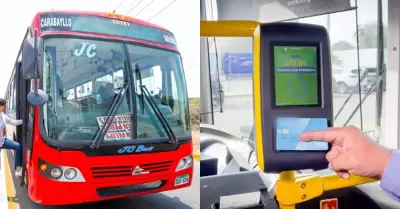 ATU anunció el ingreso de 266 buses de transporte público a Lima y Callao.