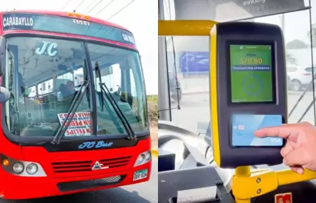 ATU anunci el ingreso de 266 buses de transporte pblico a Lima y Callao.
