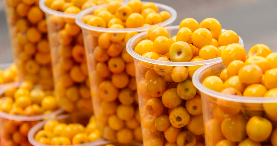 Nanche, alimento repleto de colgeno que ayuda a desaparecer las arrugas y mantiene la piel suave.
