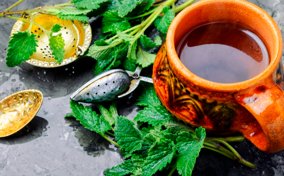 Aprovecha los beneficios de melisa en infusin.