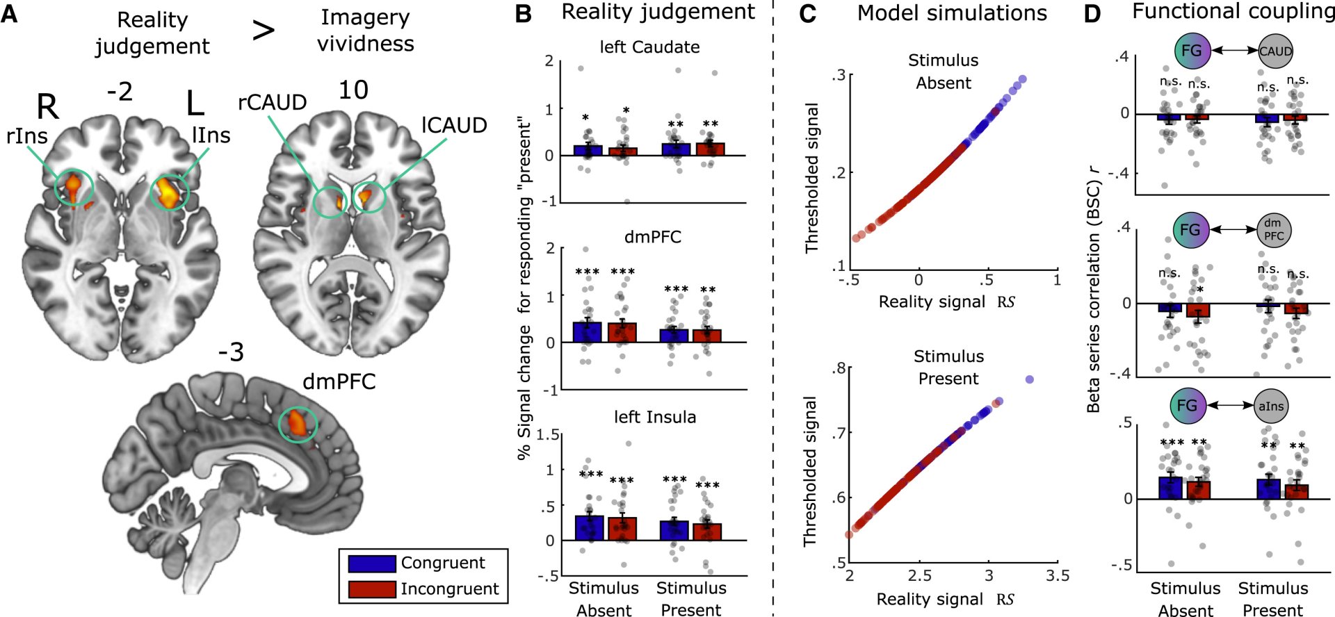 Investigacin revela qu ocurre en el cerebro para distinguir la realidad de lo imaginario.