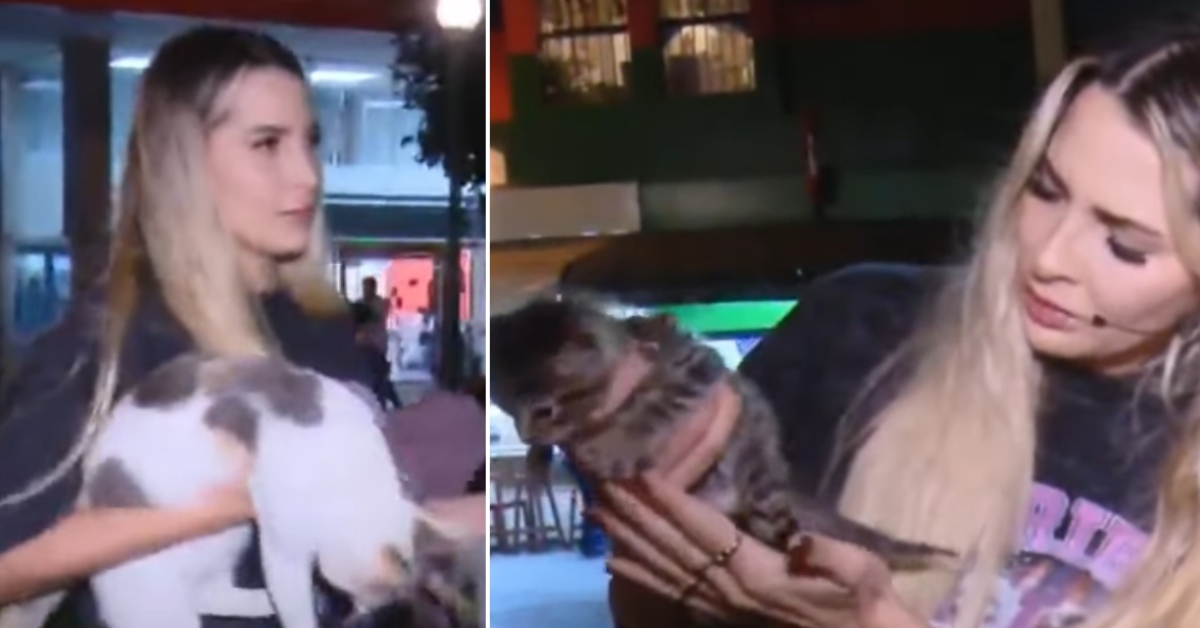 Macarena Gastaldo y su gran corazón: Cuida, alimenta y da amor a gatos del Parque Kennedy en Miraflores