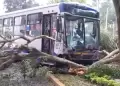 Bus del Corredor Azul se despista tras chocar contra auto: Cierran parcialmente la av. Arequipa