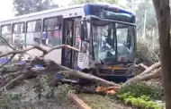 Bus del Corredor Azul se despista tras chocar contra auto: Cierran parcialmente la av. Arequipa