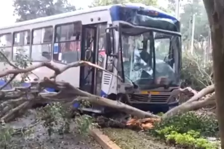 Cierran av. Arequipa por choque entre bus del Corredor Azul y auto.