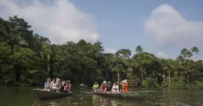 Sigue estos consejos si viajas a la Amazona peruana.