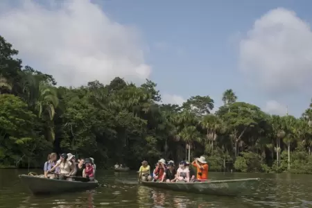 Sigue estos consejos si viajas a la Amazona peruana.