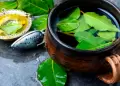 Hoja de guanábana: Descubre sus propiedades tradicionales y cómo puede apoyar tu salud