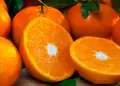 Descubre por qué la naranja es una fruta clave para fortalecer tu sistema inmunológico: Principales propiedades curativas