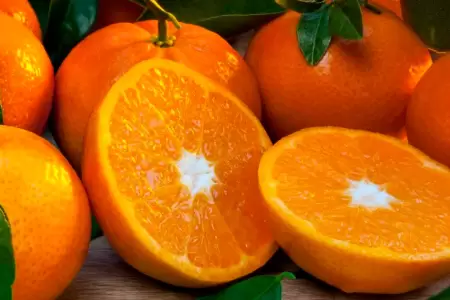 Propiedades curativas de la naranja.