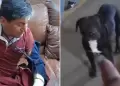 Perro ataca a albail en Comas: Vctima pide acciones contra dueo que, niega que animal sea suyo