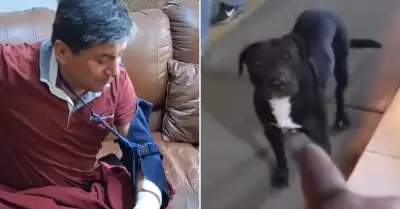 Perro ataca a albail en Comas