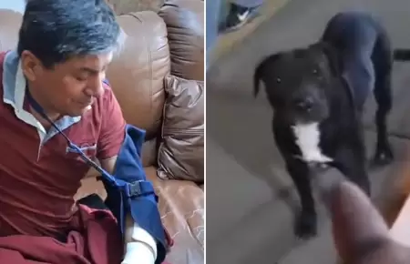 Perro ataca a albail en Comas