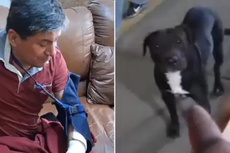 Perro ataca a albail en Comas
