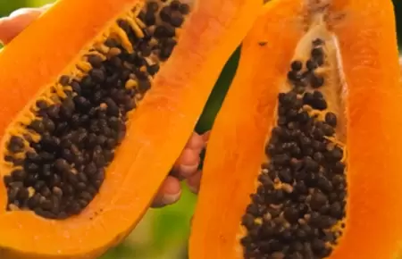 Conoce los beneficios de la papaya.