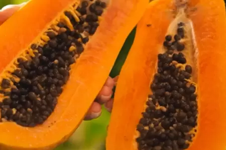 Conoce los beneficios de la papaya.