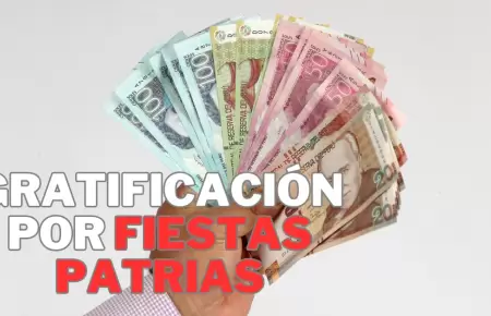 A cunto asciende la multa por no pagar la gratificacin?