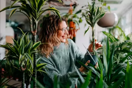 Significado de tener tu casa llena de plantas, segn expertos.