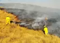 Reportan que en los próximos días podrían suscitarse incendios forestales en ocho regiones del Perú