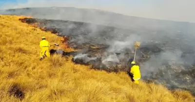 Advierten riesgo de incendios forestales en 8 regiones.