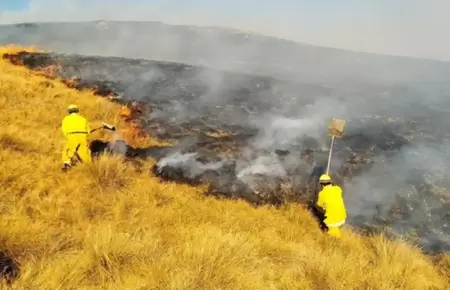 Advierten riesgo de incendios forestales en 8 regiones.