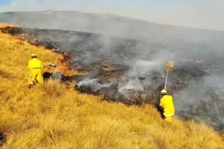 Advierten riesgo de incendios forestales en 8 regiones.