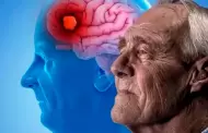 Alzheimer: Quieres ayudar a evitar el deterioro cognitivo? Este pequeo cambio en tu rutina puede hacer la diferencia