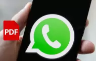 Adis a las apps externas! WhatsApp ahora escanea documentos sin salir del chat