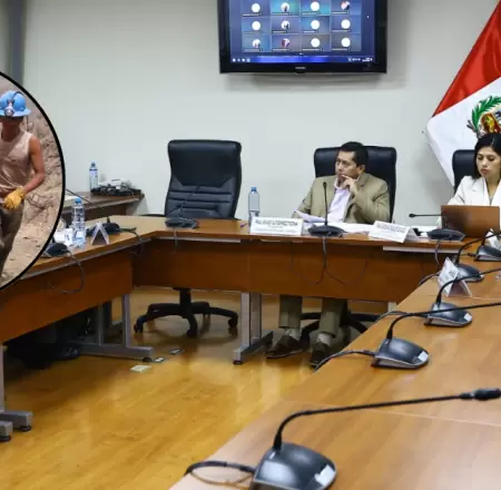 Comisin de Energa y Minas del Congreso abordar propuesta de Ley Mape.