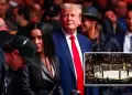 Donald Trump vuelve la Casa Blanca en octgono: planea combate de UFC por 250 aos de EE. UU.