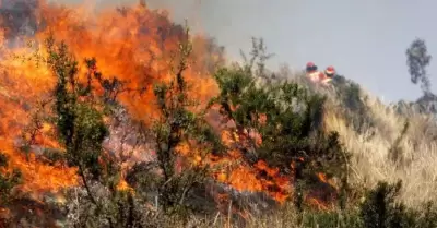 Tres incendios forestales fueron extinguidos en la Puno, Cusco y Huancavelica.