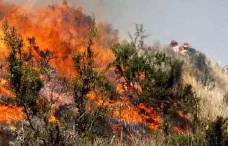 Tres incendios forestales fueron extinguidos en la Puno, Cusco y Huancavelica.