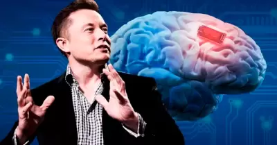 Musk devolverá la visión con chips cerebrales.