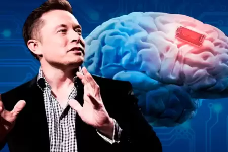 Musk devolver la visin con chips cerebrales.