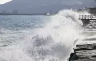 Alerta por oleaje anmalo en la costa peruana: Desde cundo se registrar el fenmeno?