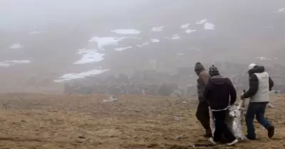 Frío intenso representa peligro para ganadería.
