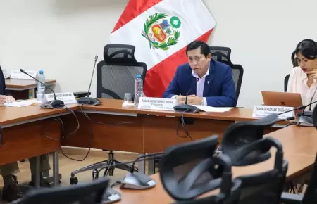 Comisin de Energa y Minas evaluar hoy la Ley MAPE.