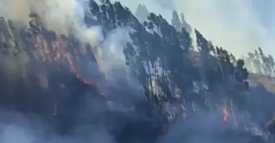 Incendio forestal afecta a la comunidad Sihua en Cusco.