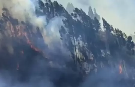 Incendio forestal afecta a la comunidad Sihua en Cusco.