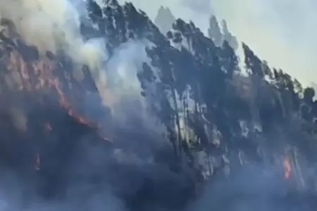 Incendio forestal afecta a la comunidad Sihua en Cusco.